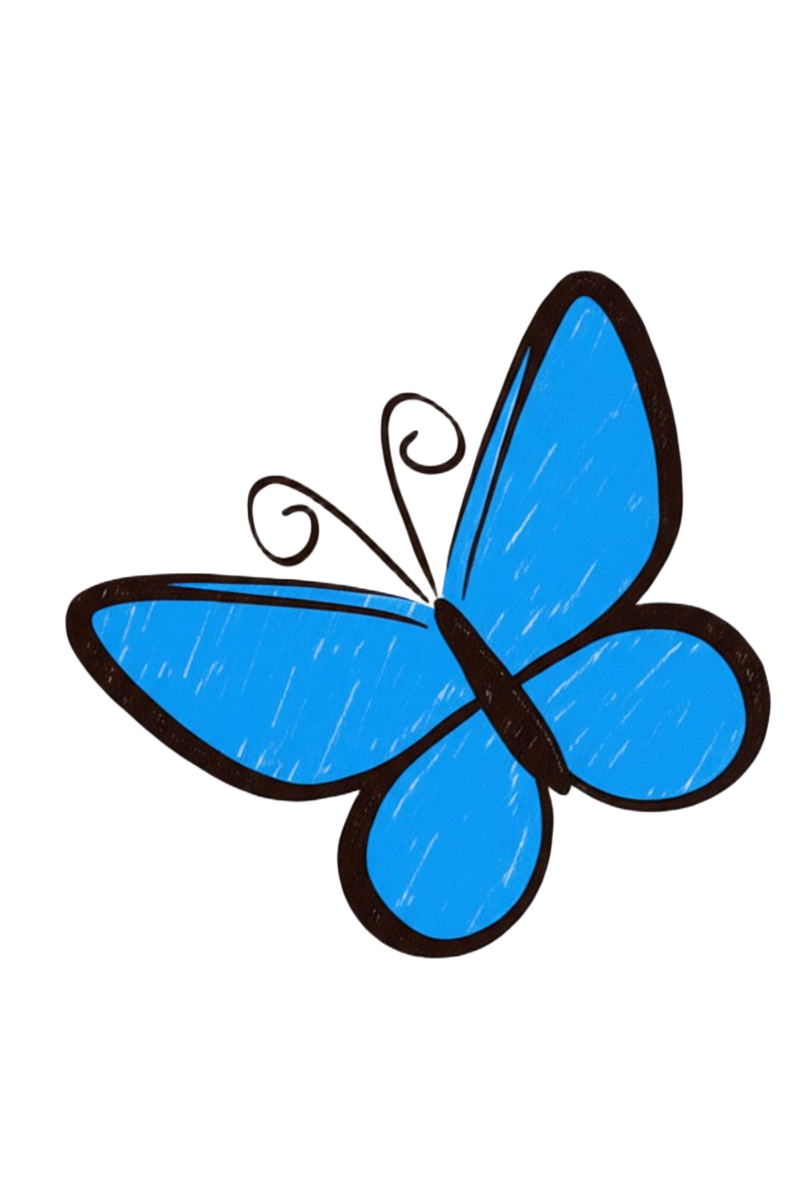 Blue Butterfly